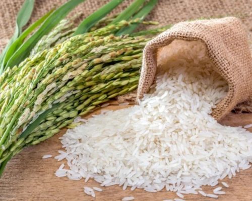 rice-pic